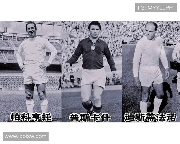 足球球队的崛起与发展探索如何塑造未来的足球明星与战术风格